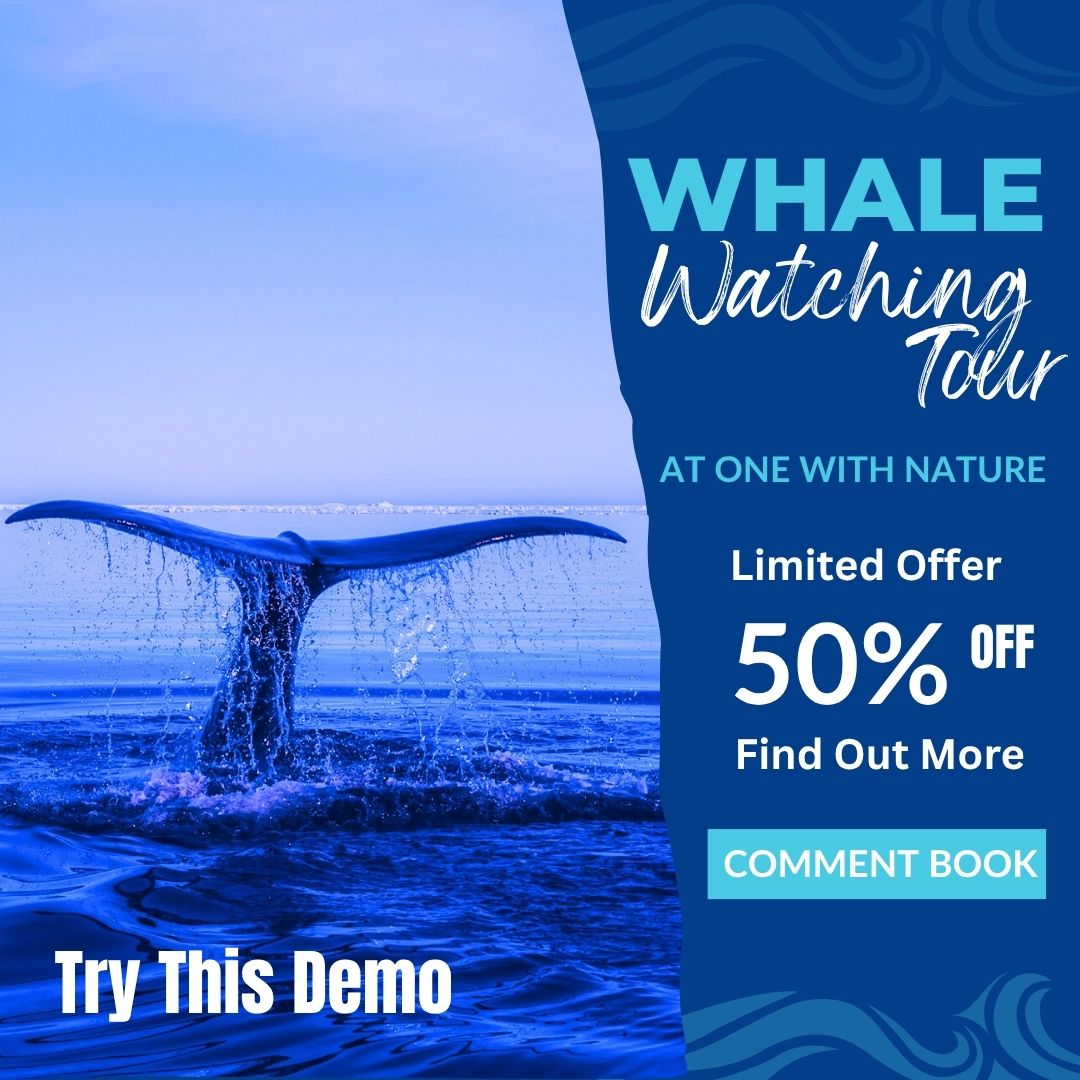 Chatbot Demo For Tourism - Whale Watching