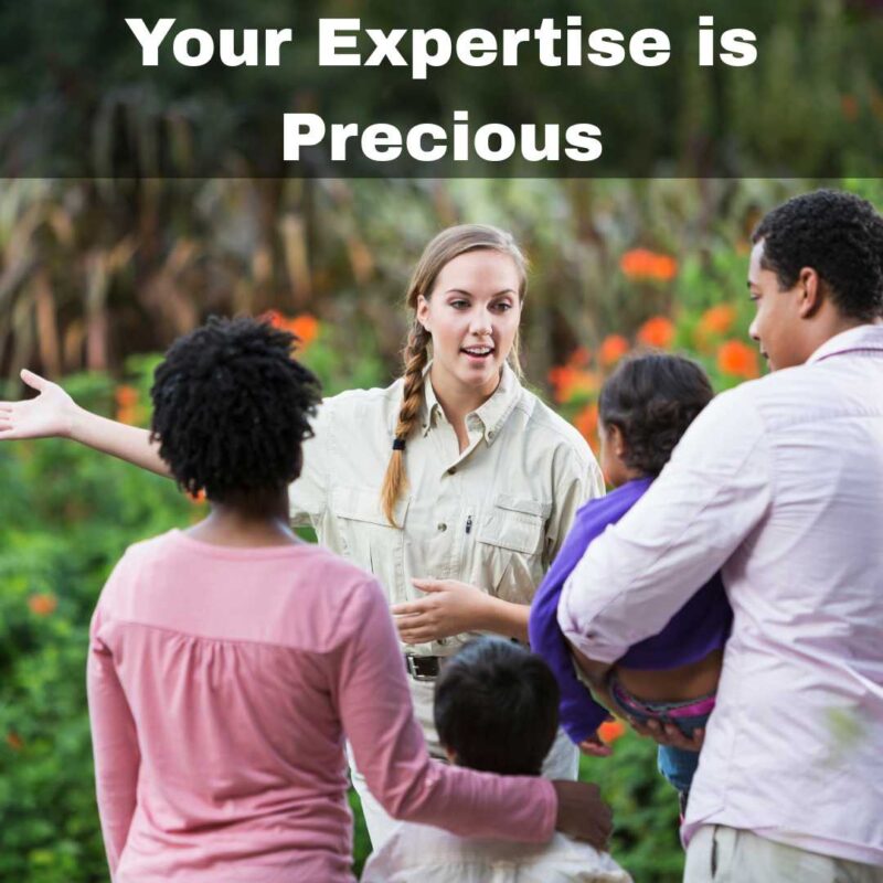 Your Tourism Expertise is Precious in AI