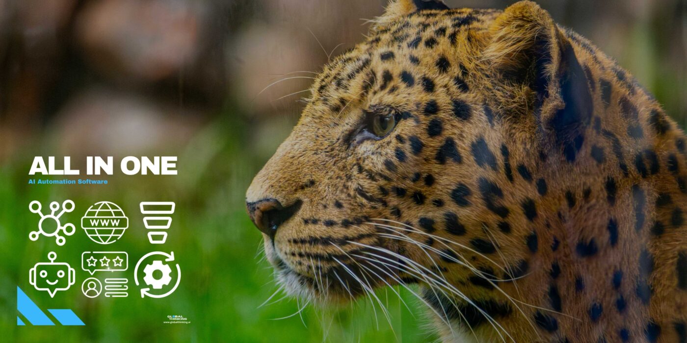 Image of a leopard close up, promoting content creation for Wildlife Operators with theGlobalThinking App - AI Automation Software for Safari and Wildlife 